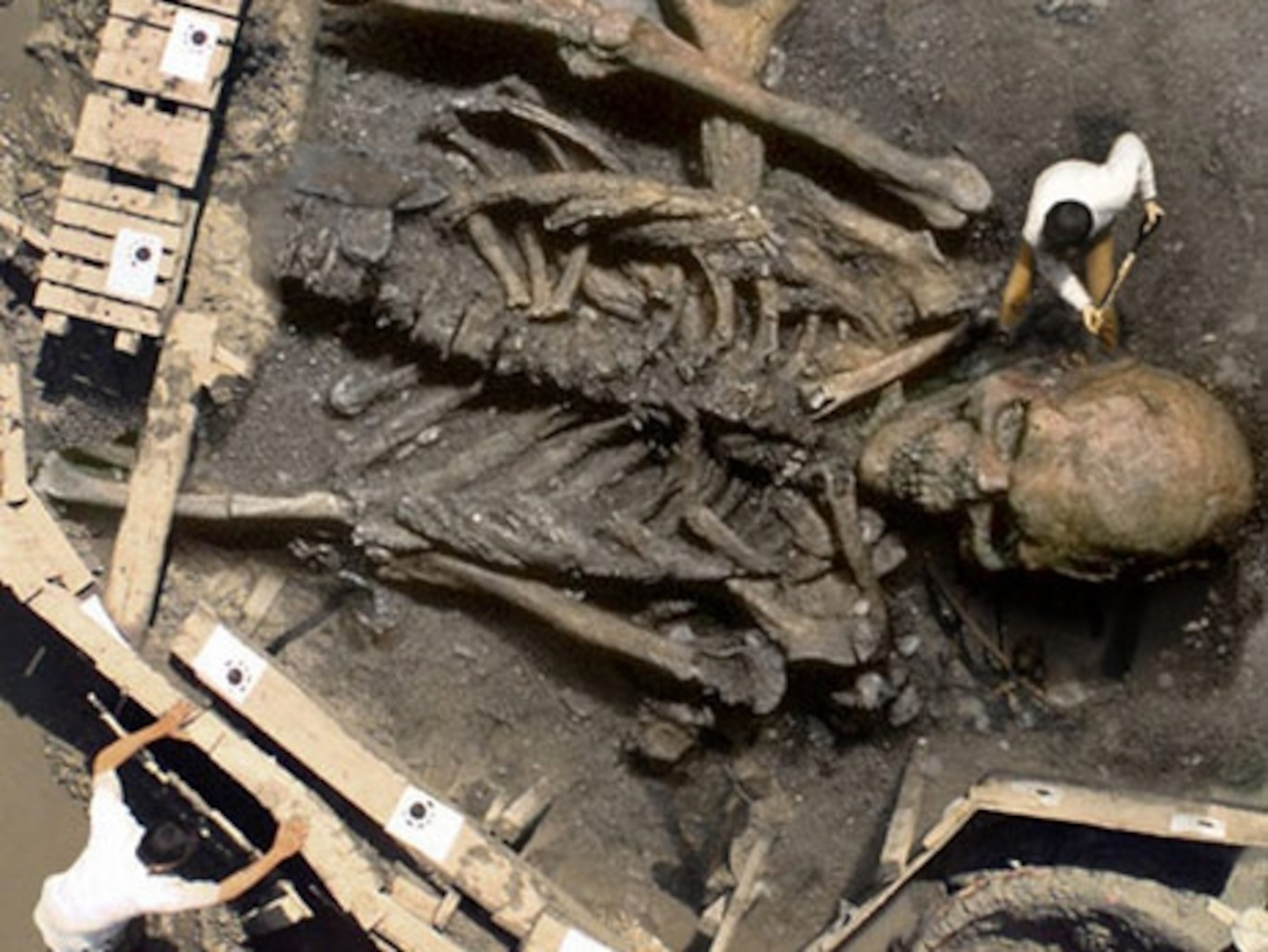 Find Out How the Giant Skeleton Hoax Started