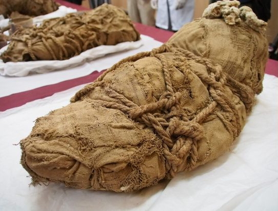 Unveiling the Ancient Past: 800 to 1,200-Year-Old Mummy Discovered in Peru