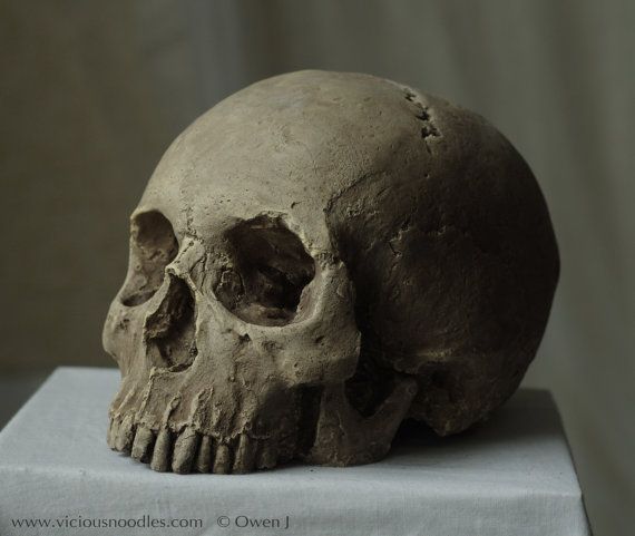 a human skull sitting on top of a table