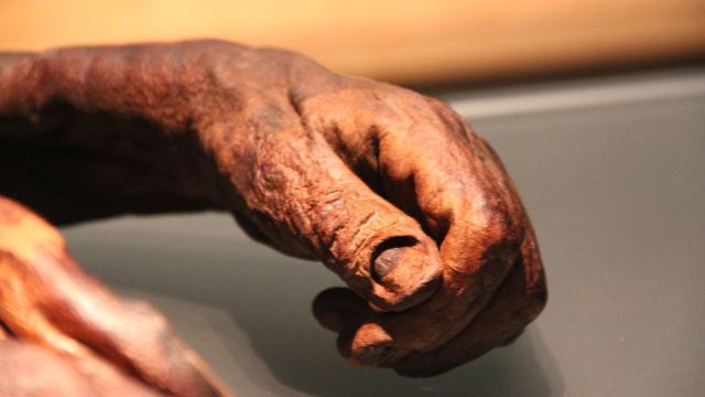 Oldcroghan Man: A sacrificial king (350–175 B.C.