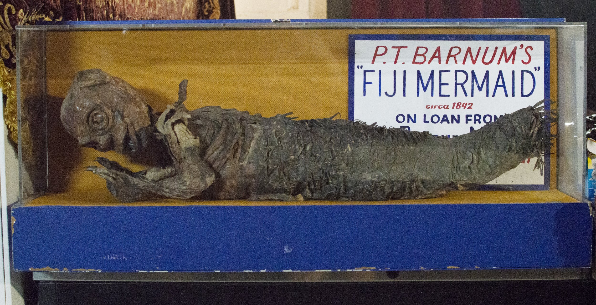 Feejee Mermaid — Coney Island USA