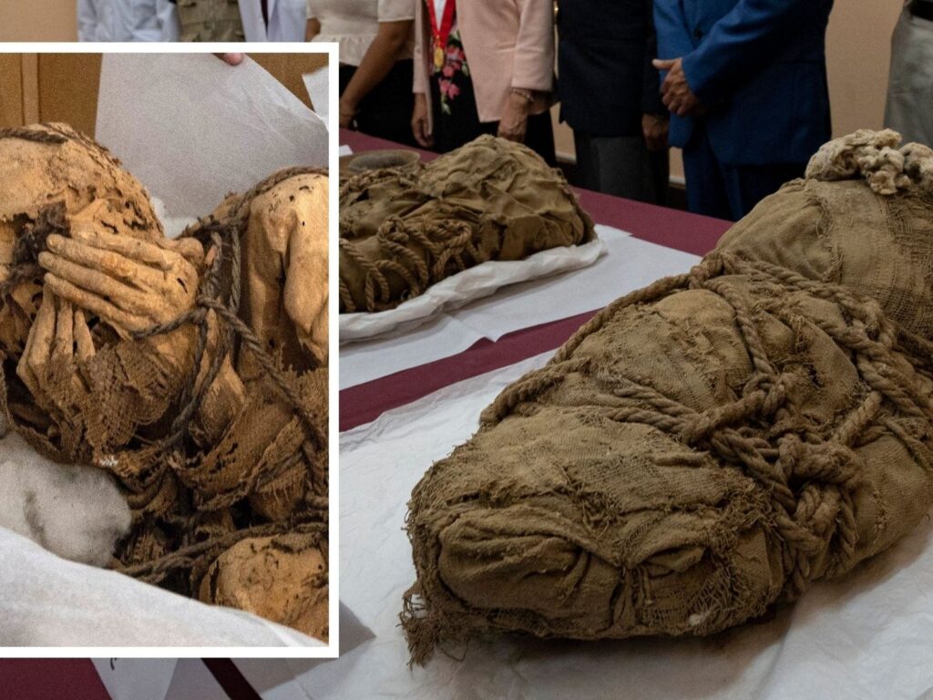 Chilling discovery: Archaeologists find mummies of sacrificed children at 1,000-year-old Peru site.