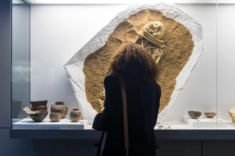 The 5 most valuable museum artifacts in the world