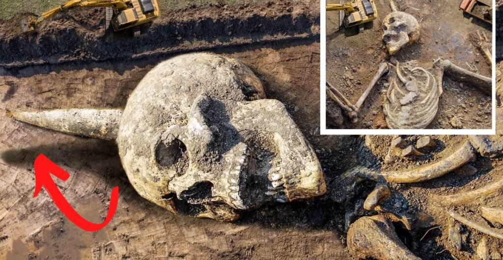 Historical Excavation: The Horned Skeleton of an Ancient Giant Found in East Africa