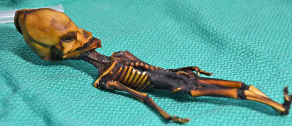 The startling truth about the tiny alien-like mummy unearthed in Ata