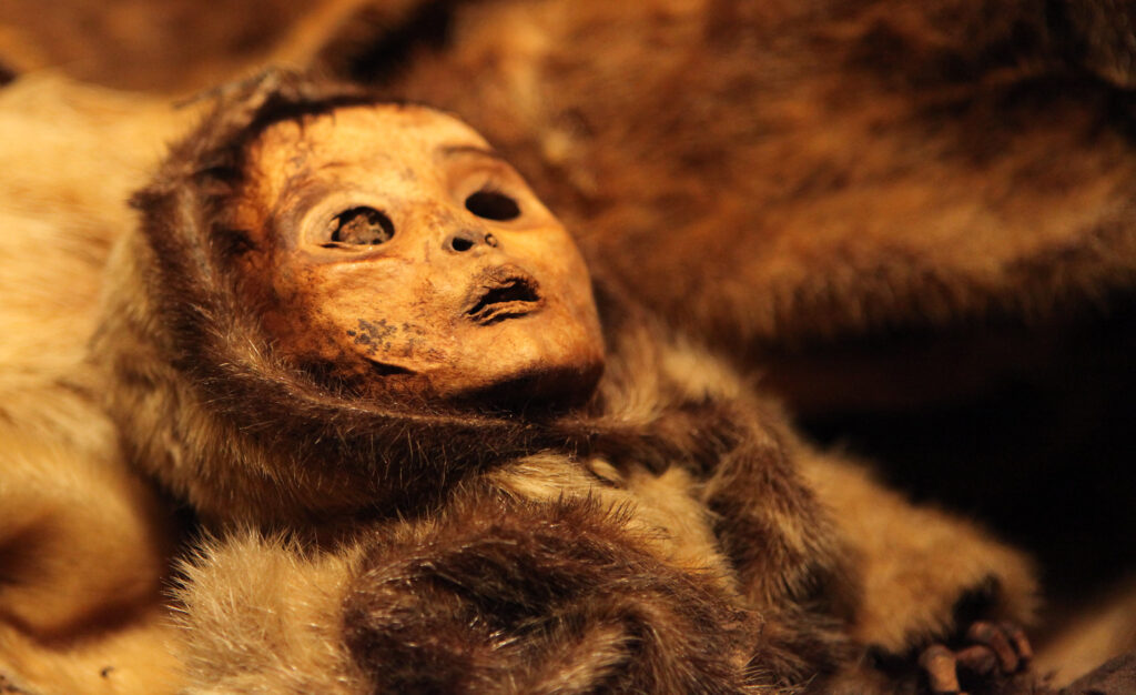 Unearthing the Most Chilling Mummy: The Qilakitsoq Baby Mummy Found in Greenland