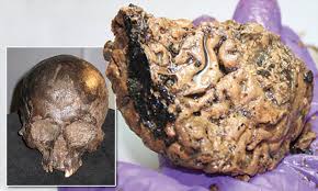 Unearthing the Past: Surprisingly Intact Human Brains Discovered in Archaeological Digs