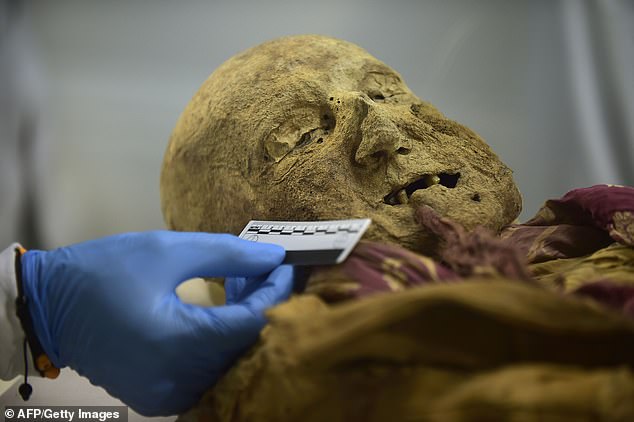 Unraveling the Mysteries of Time: Profound Insights into Ancient Diseases from Ecuador’s 16th-Century Mummified Friar