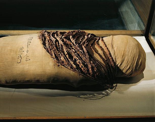 Unveiling the Enigma: Mummy of Queen Ahmose-Meritamun