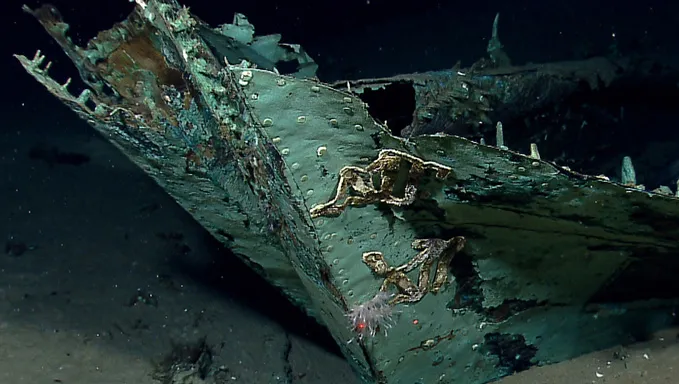 Unveiling the Mysterious Story Beneath the Waves: The 207-Year-Old Shipwreck in the Gulf of Mexico