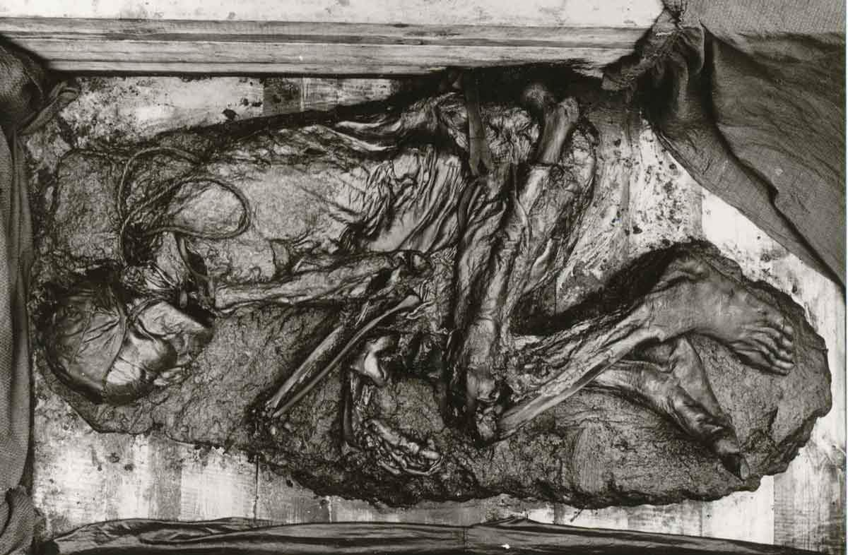 bog body tollund man