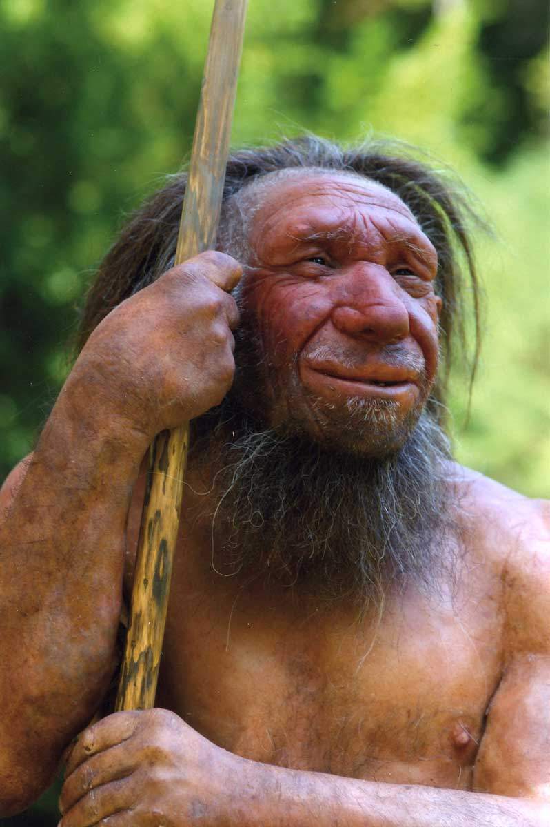 neanderthal man reconstruction