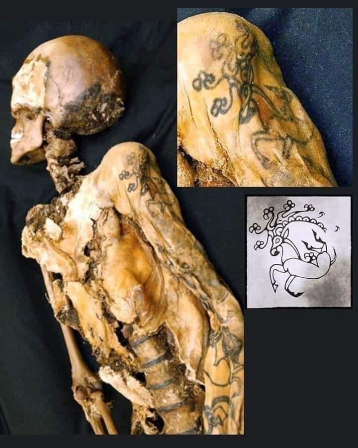 The Siberian Ice Maiden, or Princess of Ukok, is a female mummy with tattoos from the 5th century BC. Altai Republic, Russia. #archaeostories : r/TattooDesigns