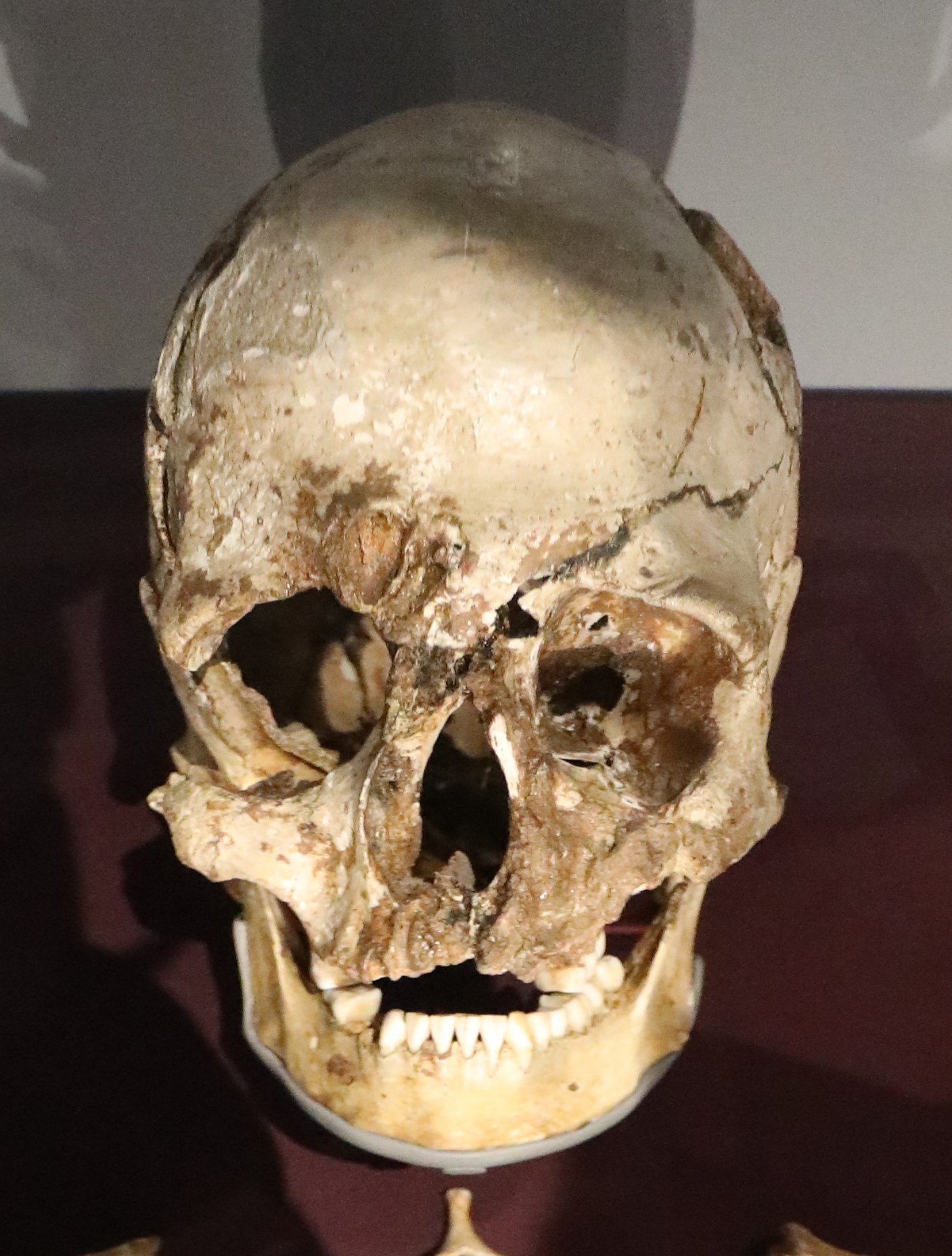 Cheddar Man - Wikipedia