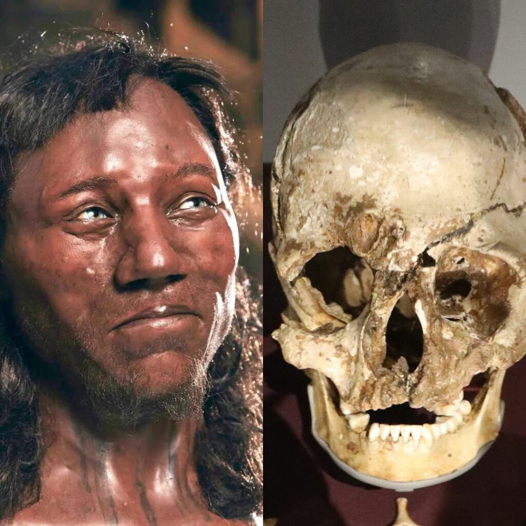 Uncovering the Secrets of Cheddar Man: Revealing the Secrets of Britain’s Ancient Blue-Eyed Ancestor