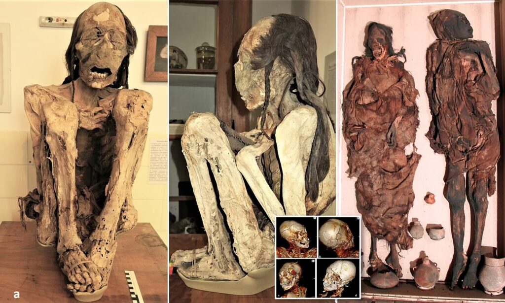 Mummies and Murders: Unveiling a 1,000-Year-Old Crime Scene in South America