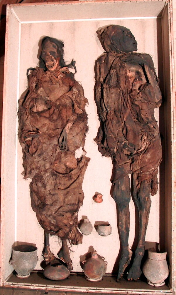 Scientific 'detective work' with South American mummies reveals they were brutally murdered