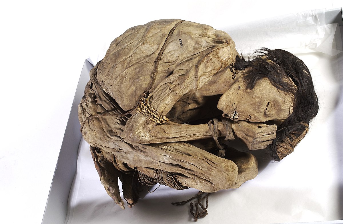 File:Peruvian mummified male, c.1200-1400 Wellcome L0035648.jpg - Wikimedia Commons