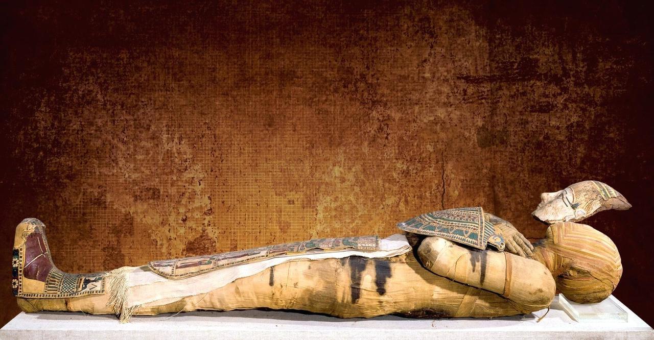 Mummy of Pacheri - Egypt Museum