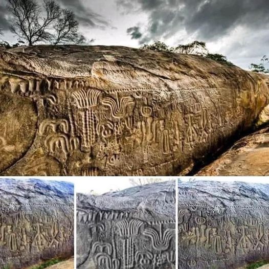 The Enigmatic Ingá Stone: A Journey into Brazil’s Prehistoric Past