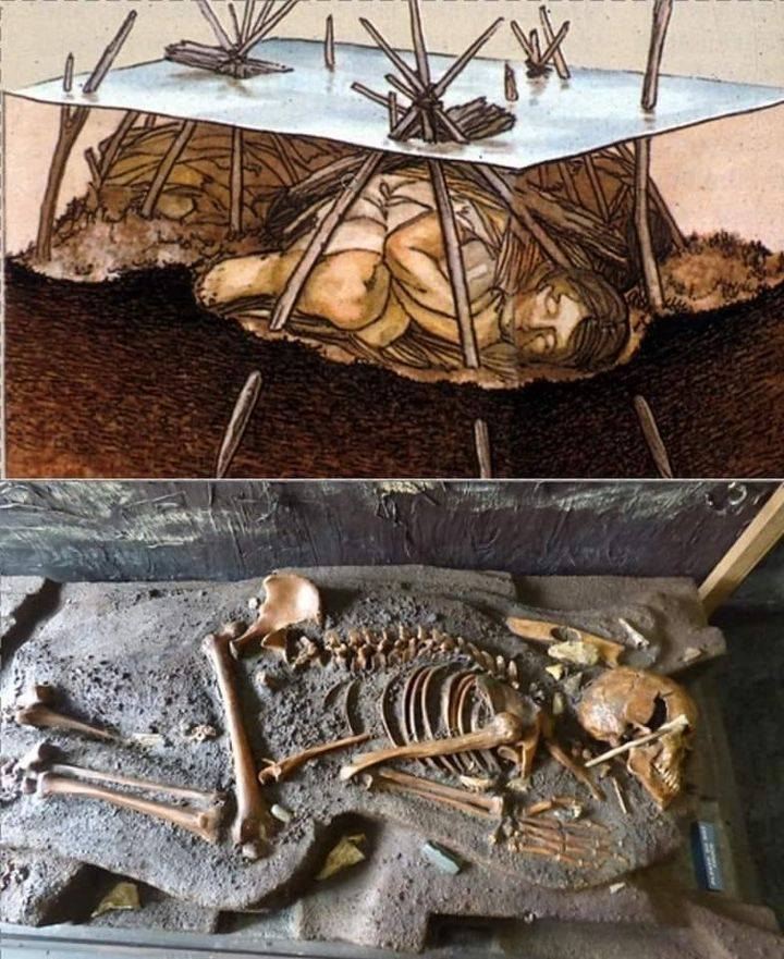 Ancient Echoes: The Hidden Secrets of Windover Pond’s Bog Bodies