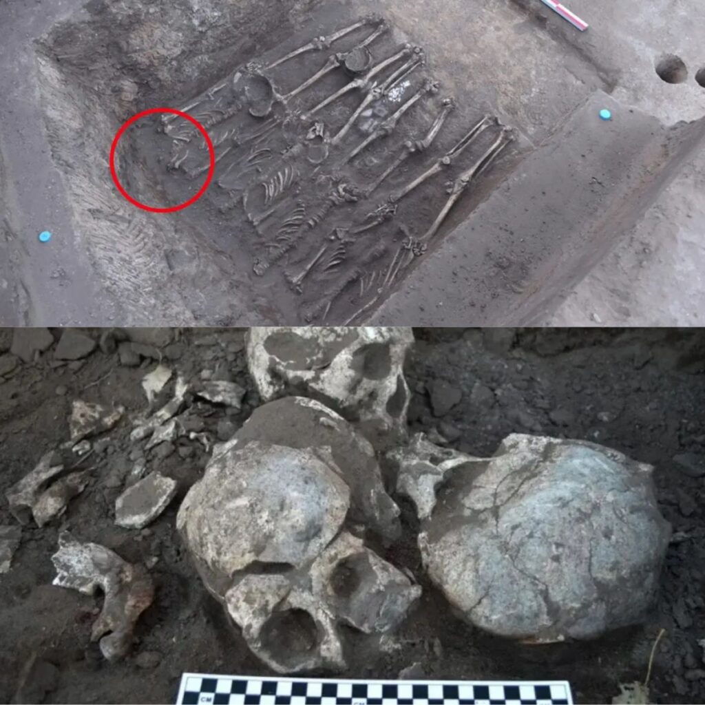 Unearthing a Grim Chapter of History: The Neolithic Massacre in Ancient China