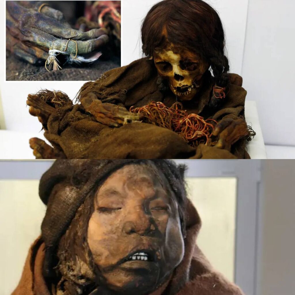 Breaking: Mystery Unveiled – 2,200-Year-Old Shaman Woman Mummy Found Inside Decorated Tree Leaves Experts Baffled