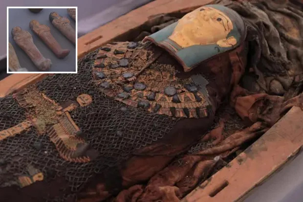 A Remarkable Discovery: Unveiling the Secrets of an Ancient Egyptian Coffin Lid