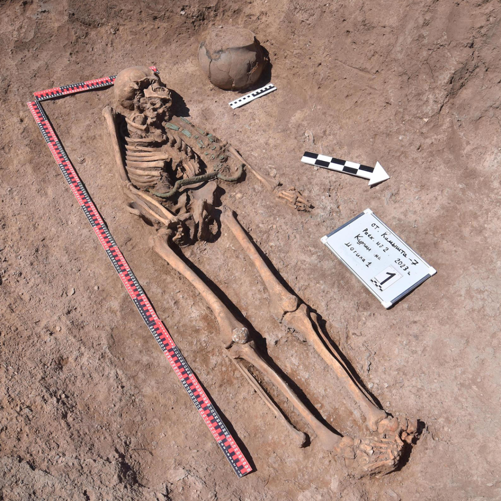 The Charioteer’s Grave: Unearthing 3,000-Year-Old Secrets from Ancient Siberia