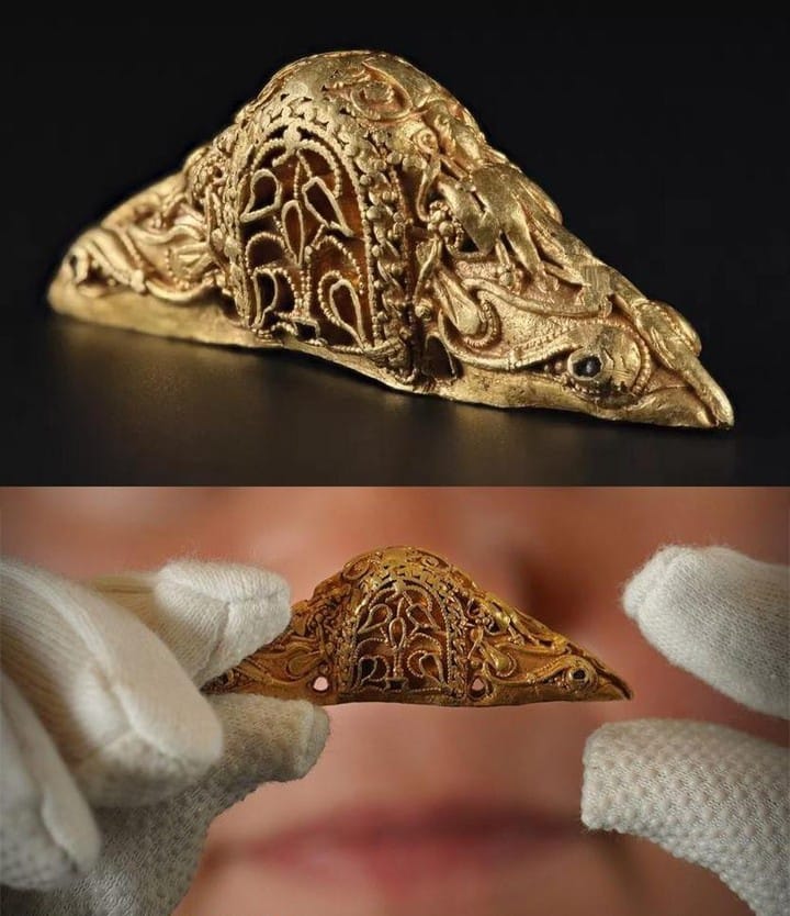 Unearthing Scotland’s Storied Past: The Remarkable Discovery of a 1,300-Year-Old Gold Sword Pommel