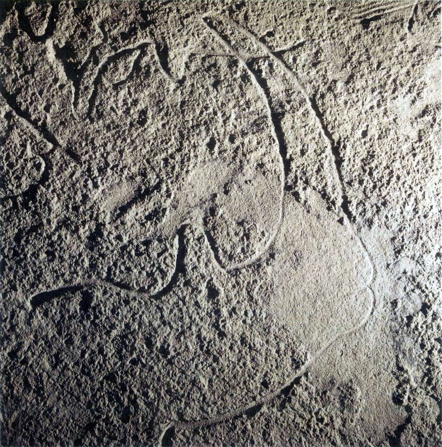 Cussac Cave - Grotte de Cussac