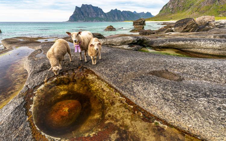 Uttakleiv Beach Uttakleiv Beach Is Known As Norway's Most, 52% OFF