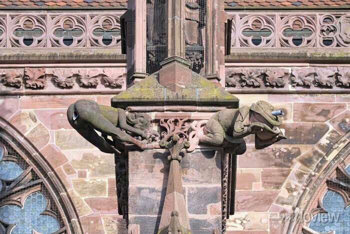 Freiburg im breisgau, germany. two gargoyles of freiburg minster. wall mural • murals history, sightseeing, attraction | myloview.com