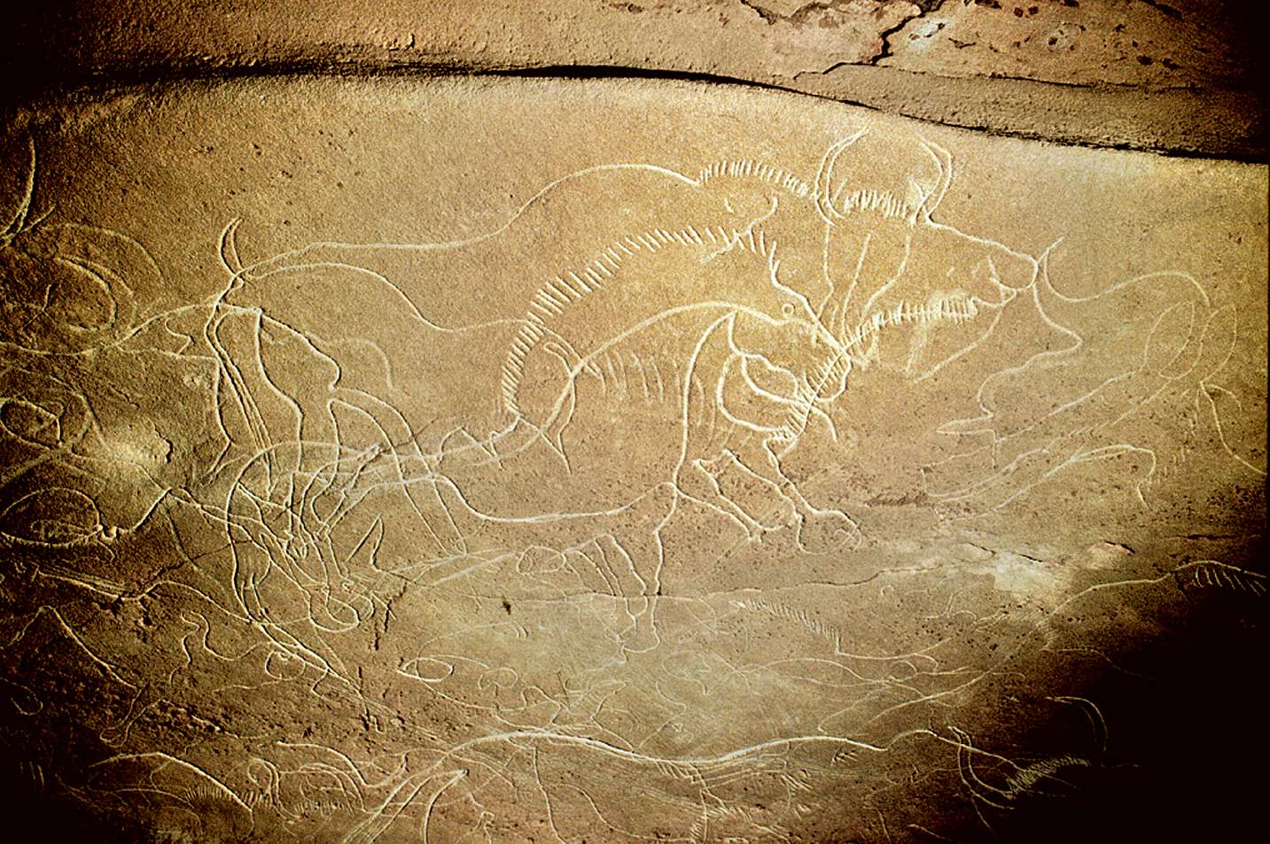 Cussac Cave - Grotte de Cussac