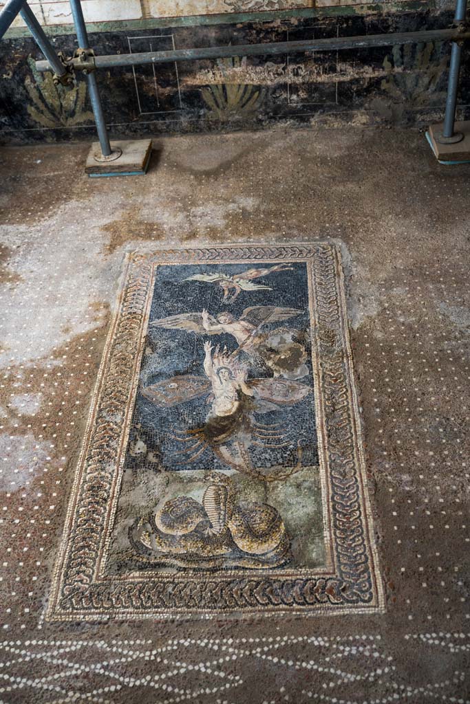 V.2, Pompeii. Casa di Orione. October 2021. Room A13, looking south across floor mosaic in south ala. Photo courtesy of Johannes Eber. 