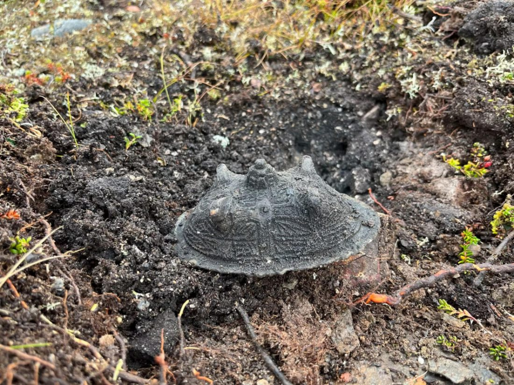 Unearthing the Secrets of a Viking Woman’s Tomb in the Swedish Mountain