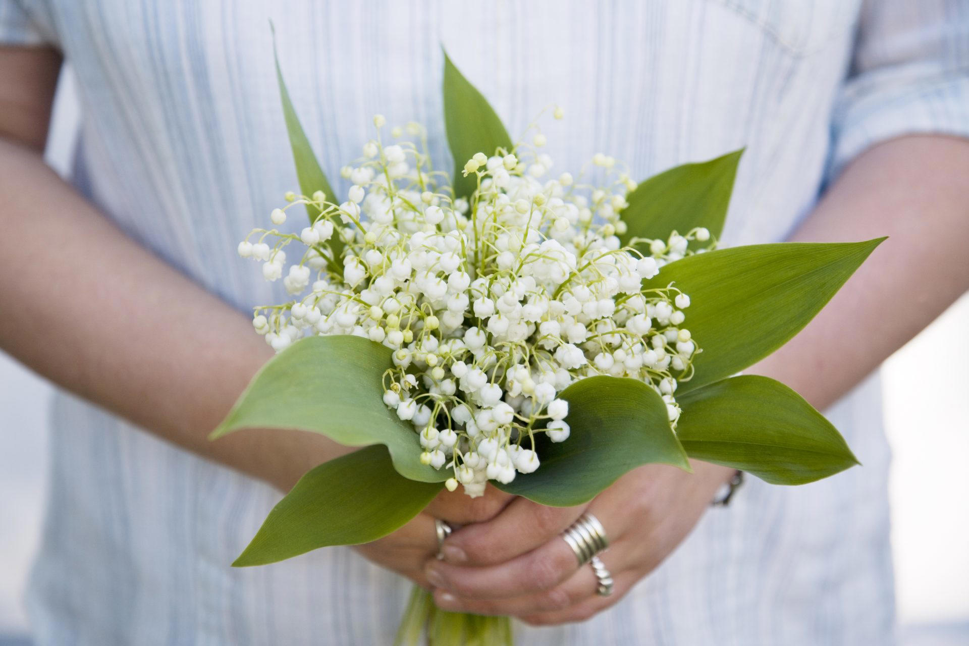 What is the national flower of the countries of the world?