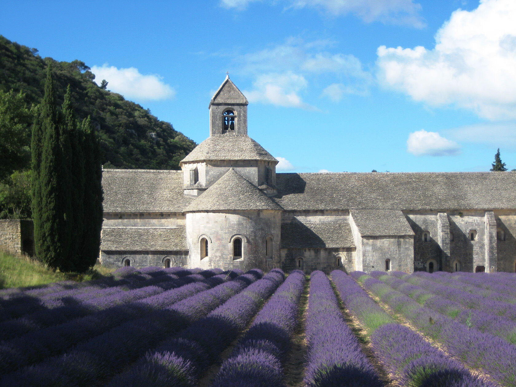 Looking for Lavender in the Luberon Valley - Perfectly Provence