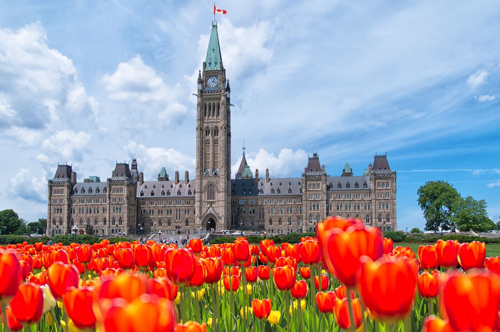 Canadian Tulip Festival: Where to See the Best Blooms in Ottawa