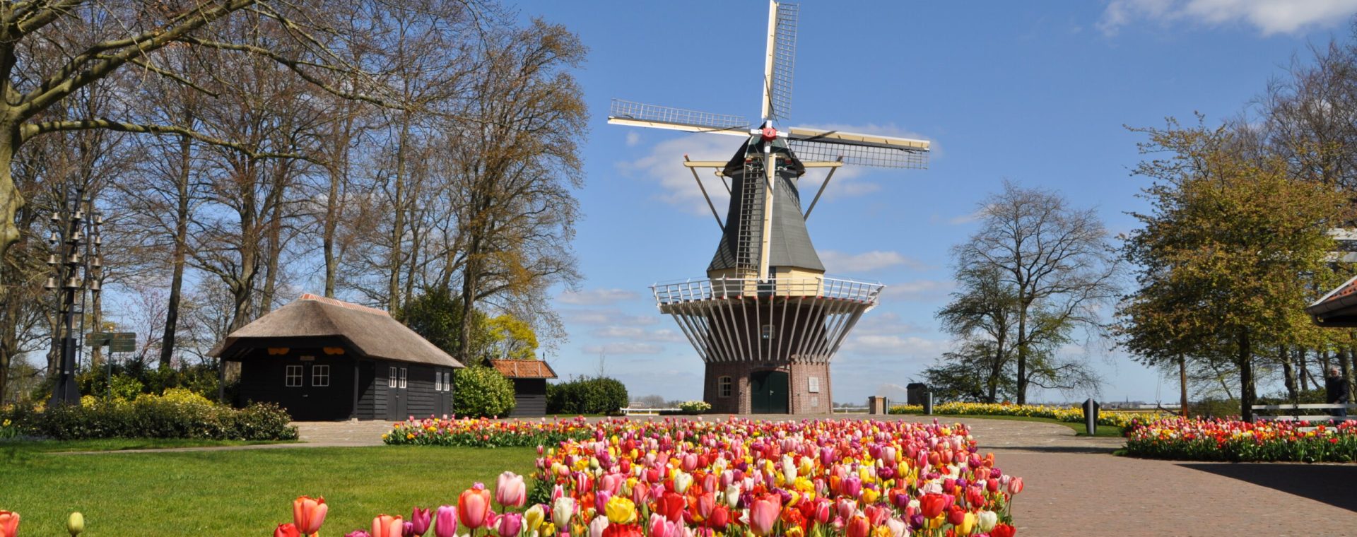 Celebrate Spring! The most beautiful tulips in the Netherlands can now be seen in the largest spring garden in Europe, Keukenhof. - Time4Tulips