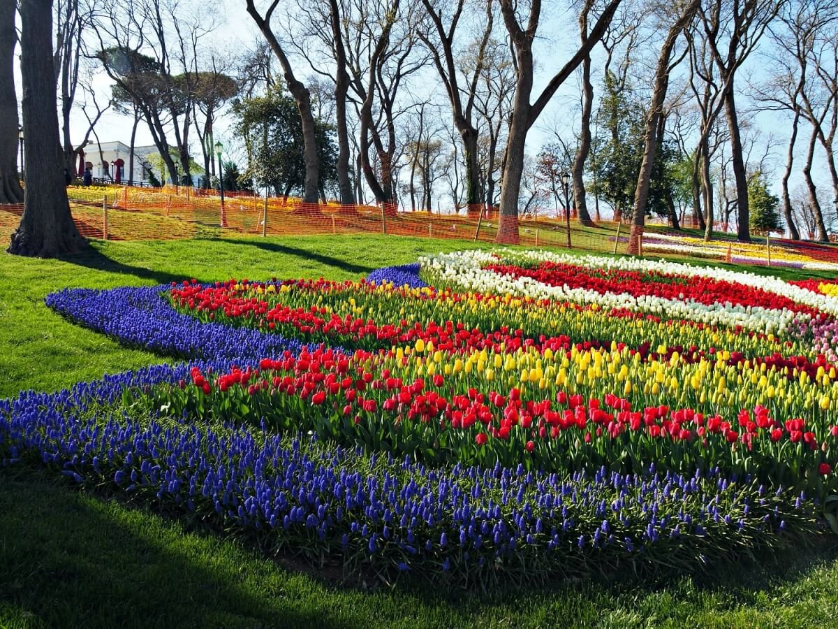 Visit the Istanbul Tulip Festival in 2024 (Istanbul Lale Festivali) — Mog and Dog Travels