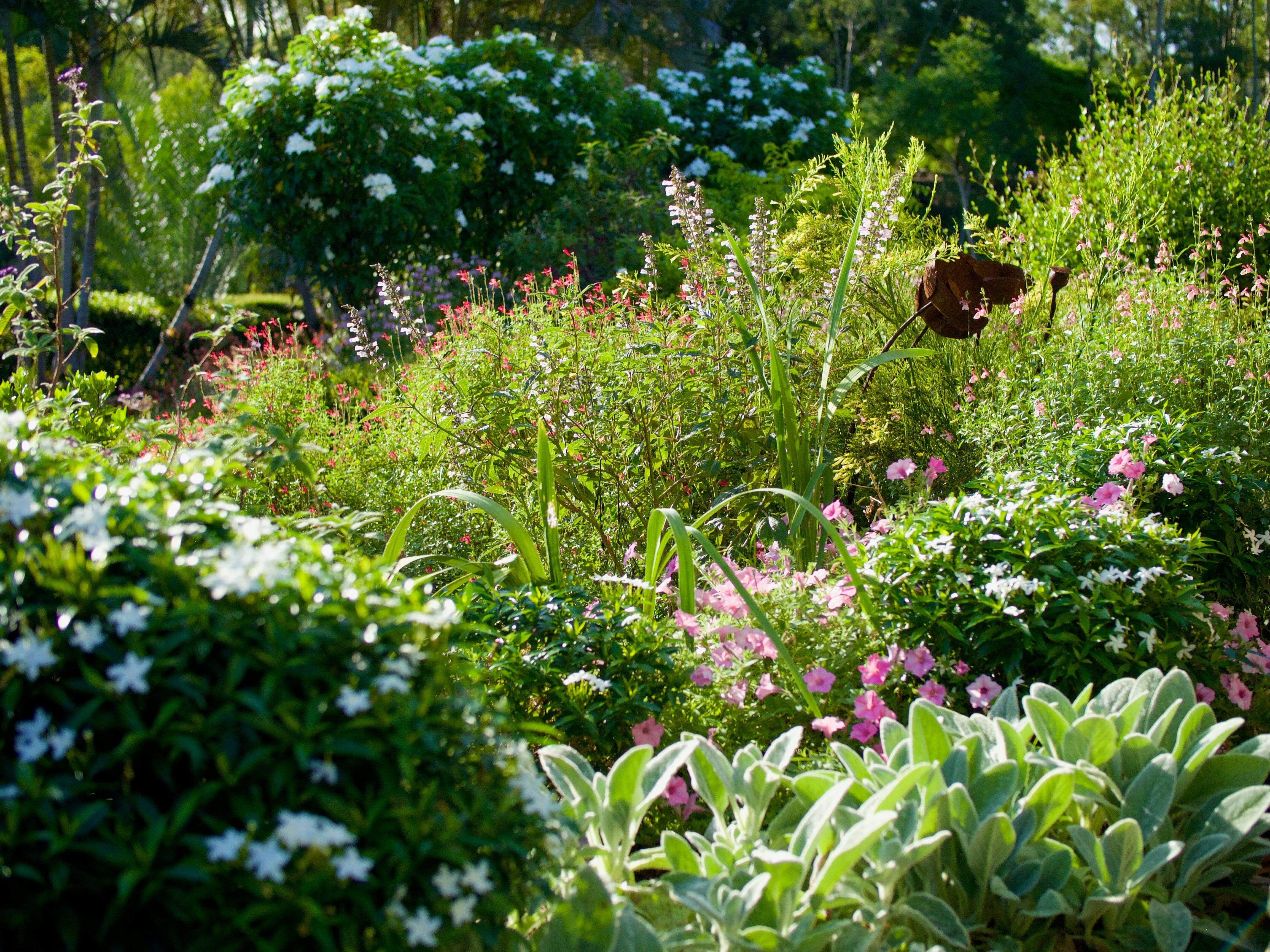 Cottage Gardening in Brisbane