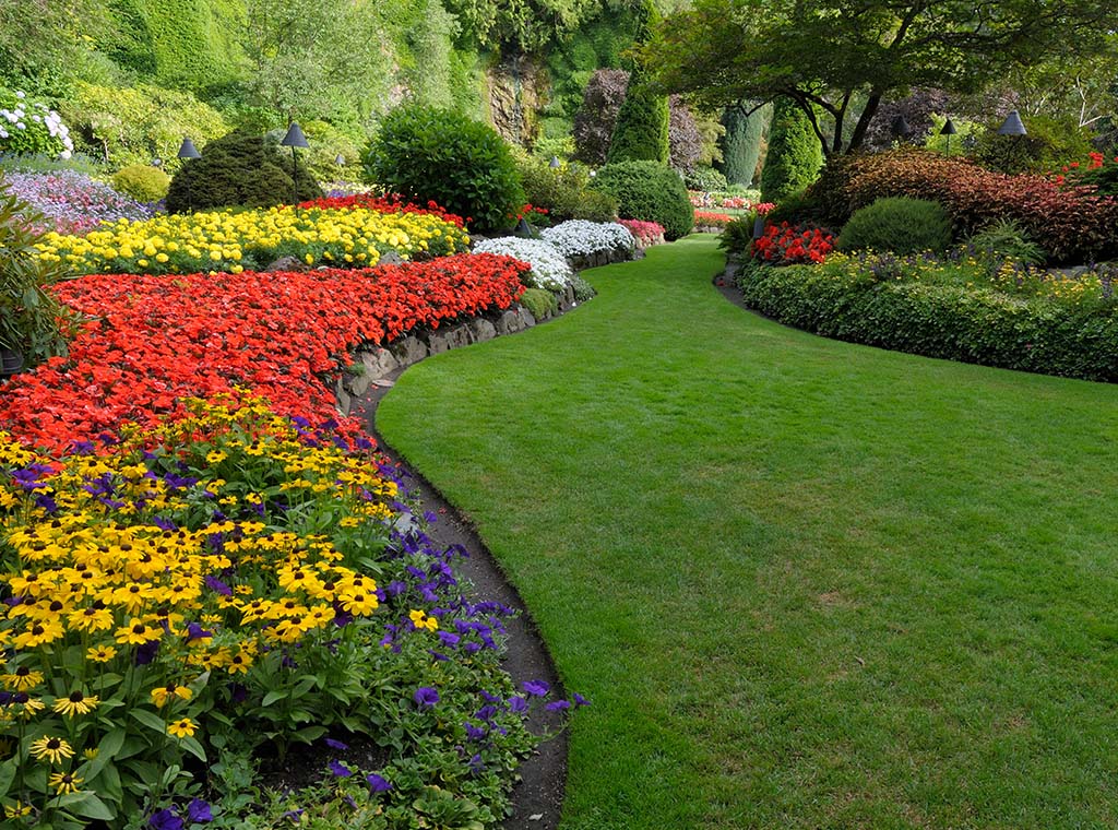 Landscaping Styles Distance Education | Study Garden Types online