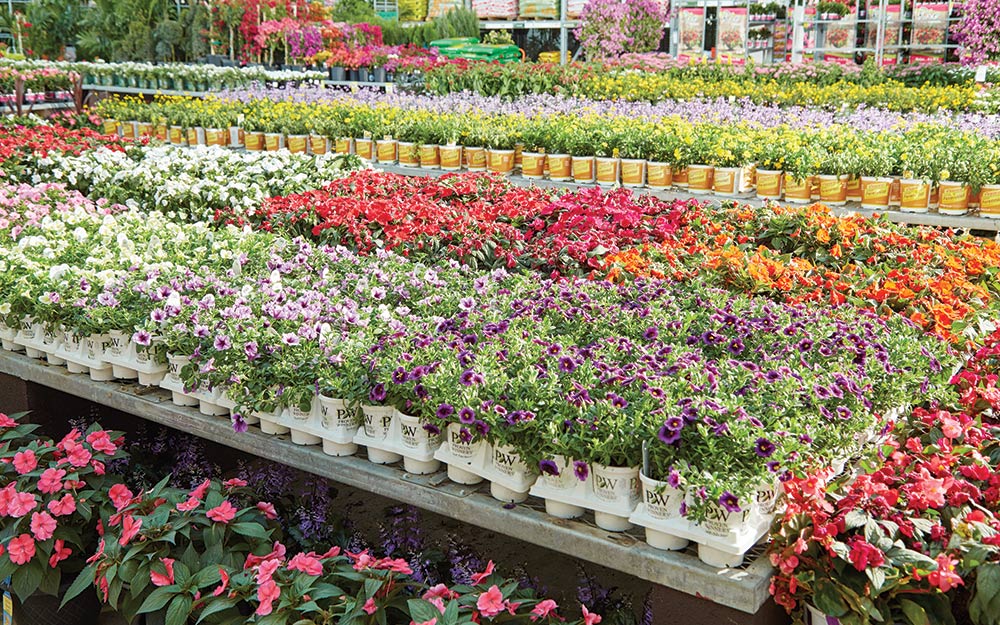 Flower Bed Ideas - The Home Depot