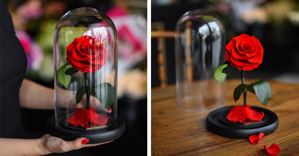 Real Enchanted Rose Lasts 3 Years Without Water or Sunlight