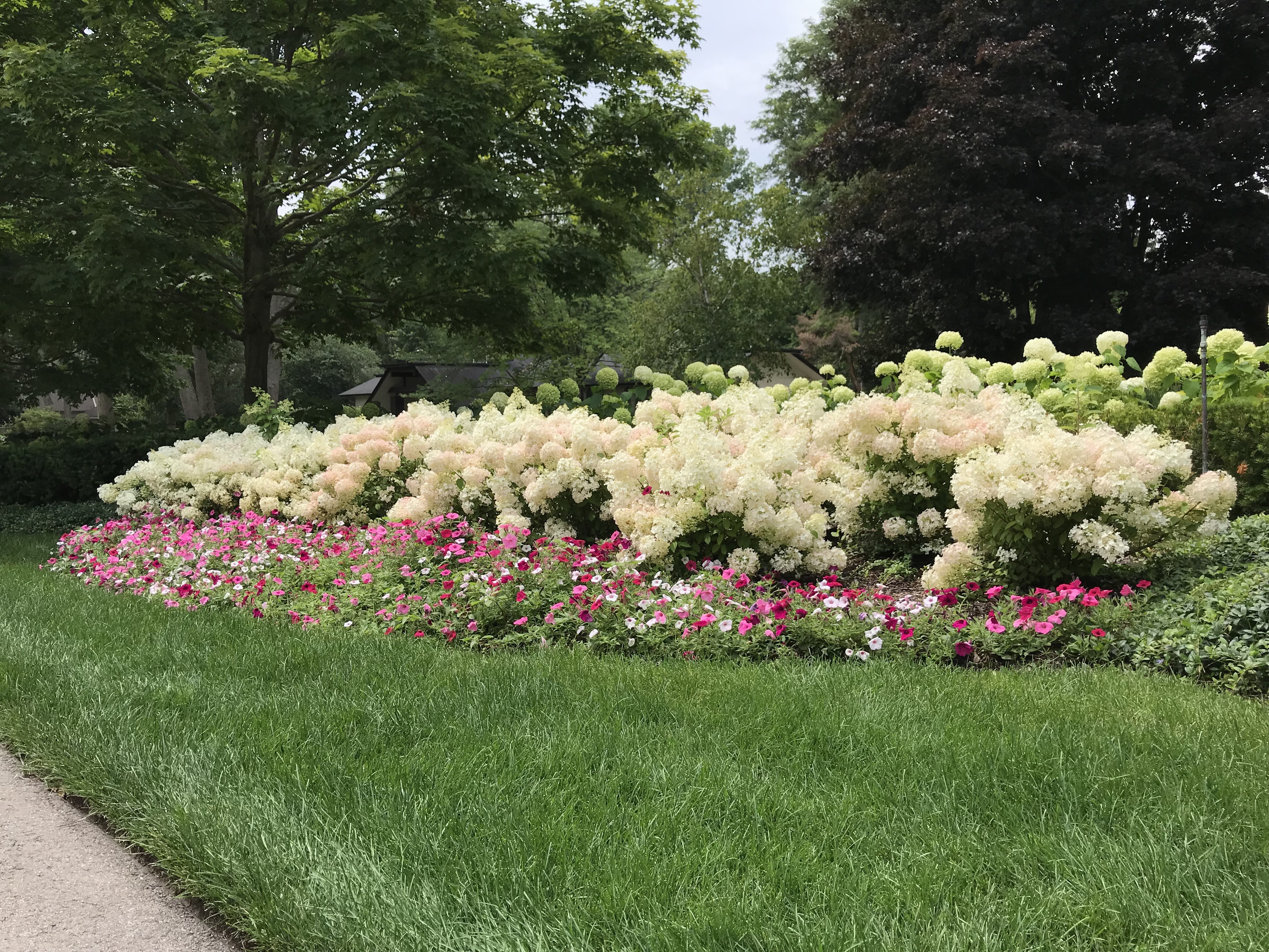 Designing With Hydrangeas | Deborah Silver & Co.