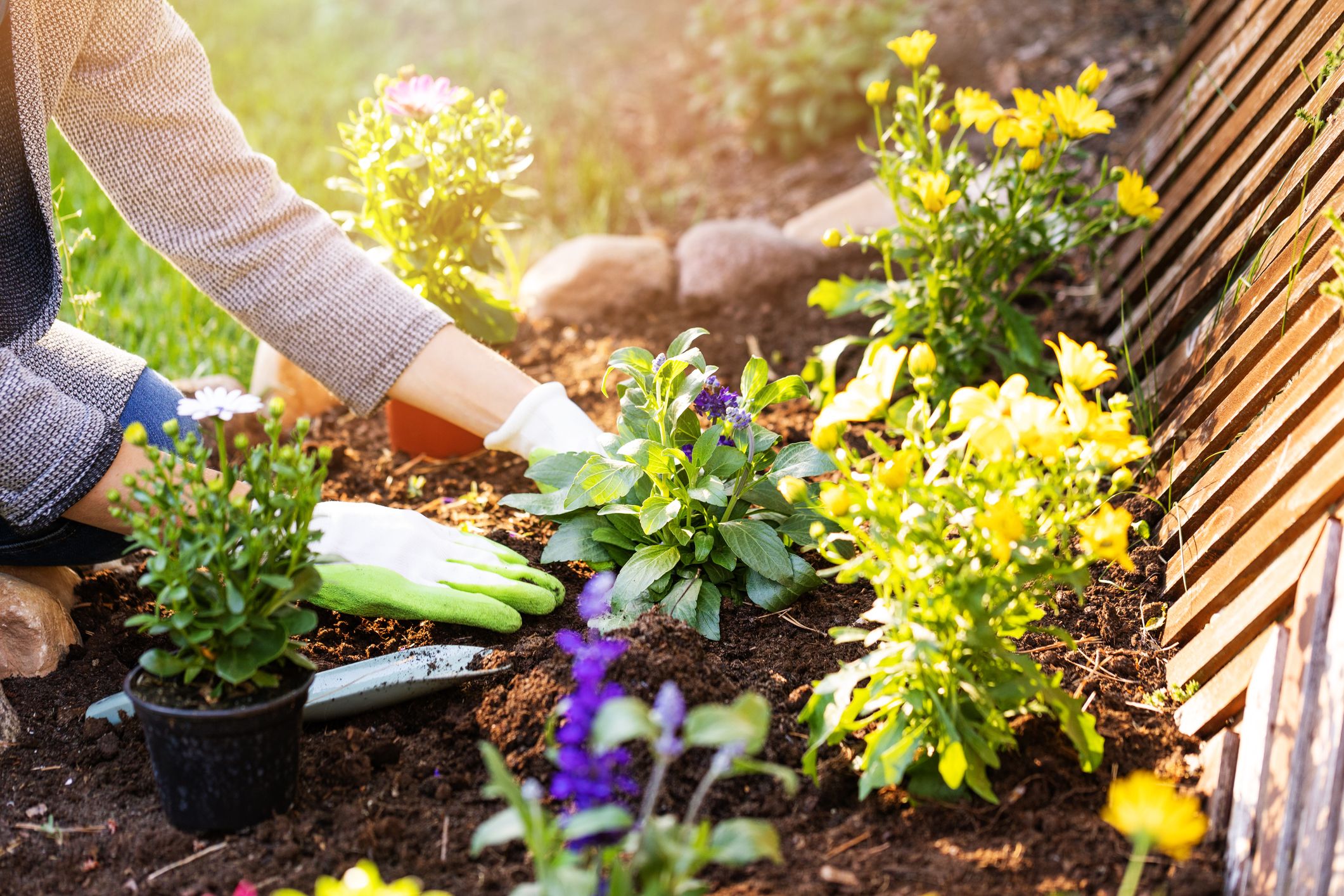 Transform Your Outdoor Space: 8 Essential Steps for the Perfect Flower Garden