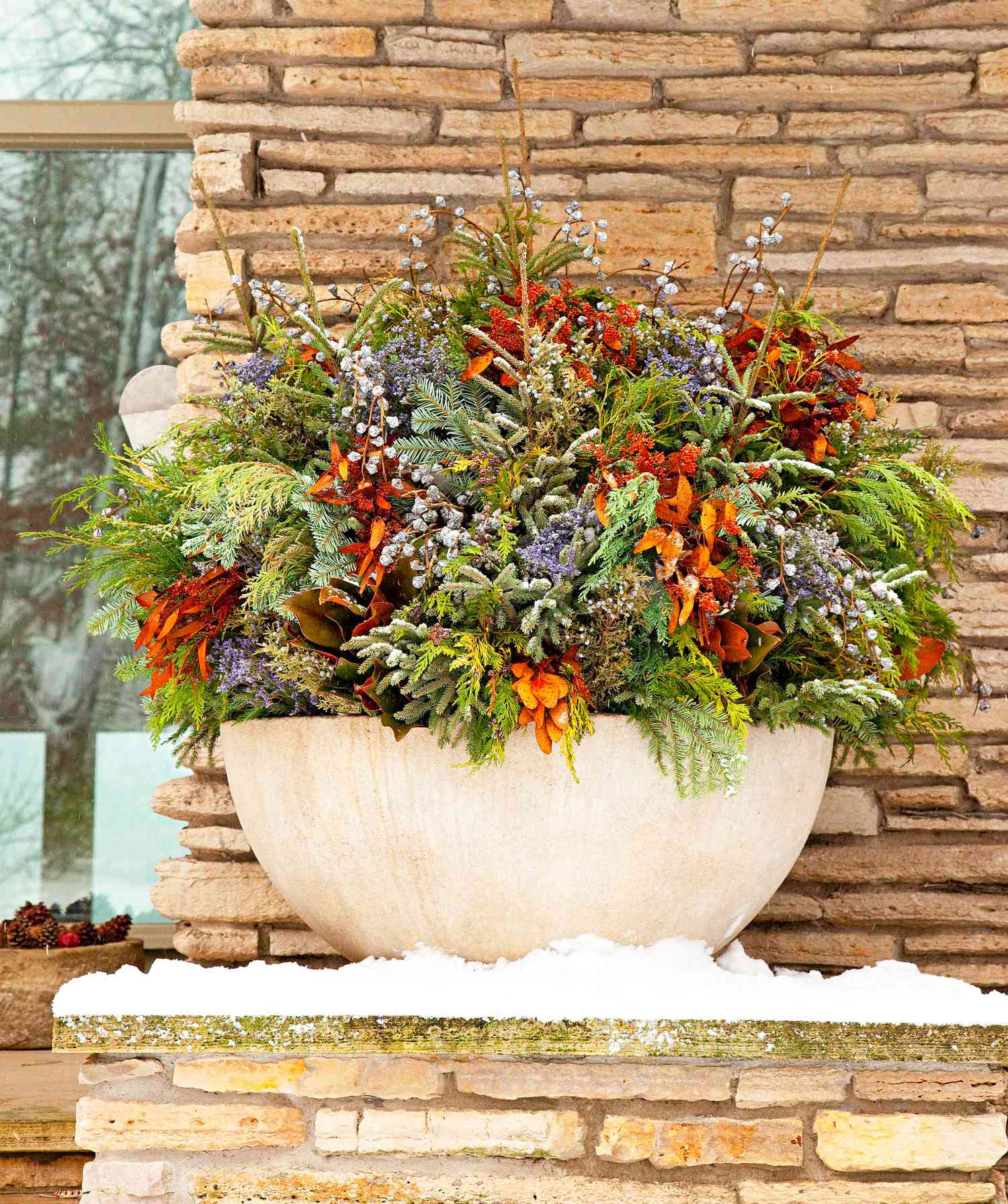 Color in the Cold: How to Create a Vibrant Winter Garden