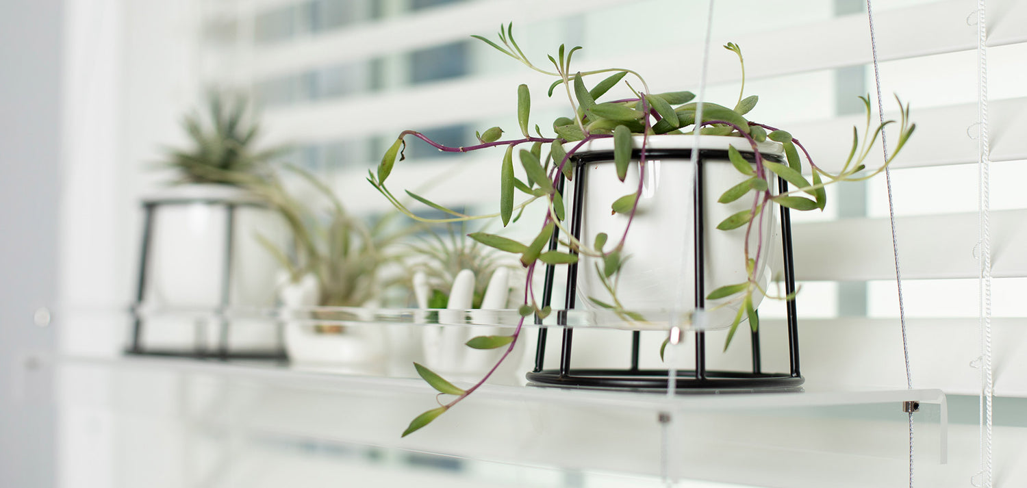 Hanging Window Plant Shelves - Beautiful Views