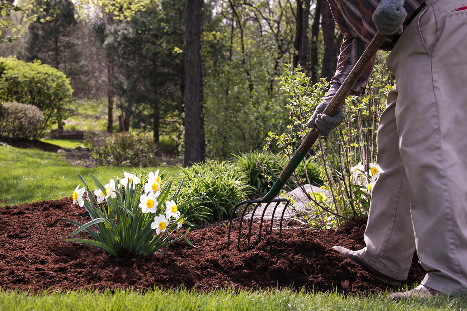 Spring Cleanup Service - Spring Yard Cleanup Crystal Lake | Elite Lawn Care